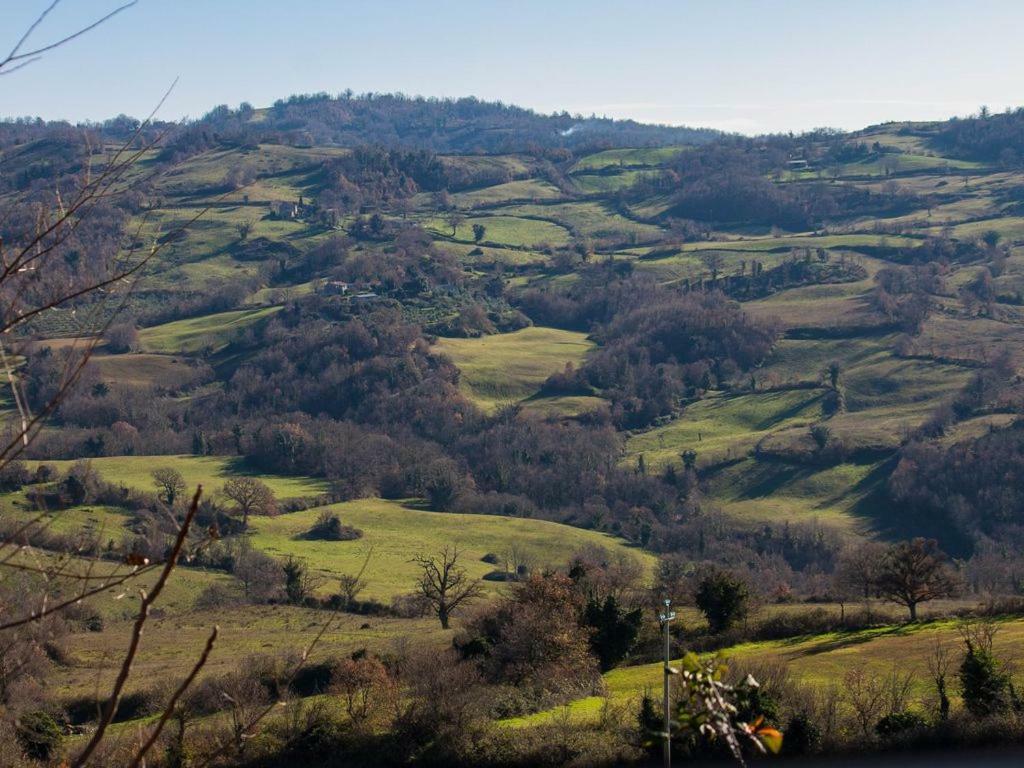 Le Casette Country House Petricci المظهر الخارجي الصورة