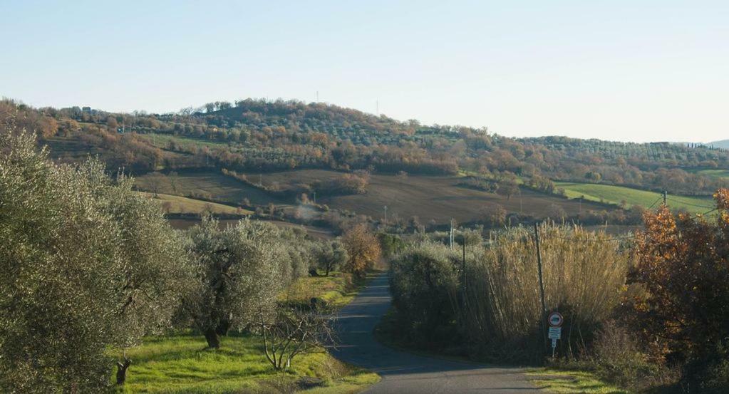 Le Casette Country House Petricci المظهر الخارجي الصورة